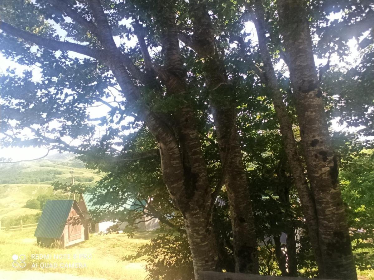 Hotel Katun Ljeljenak Plužine Exterior foto